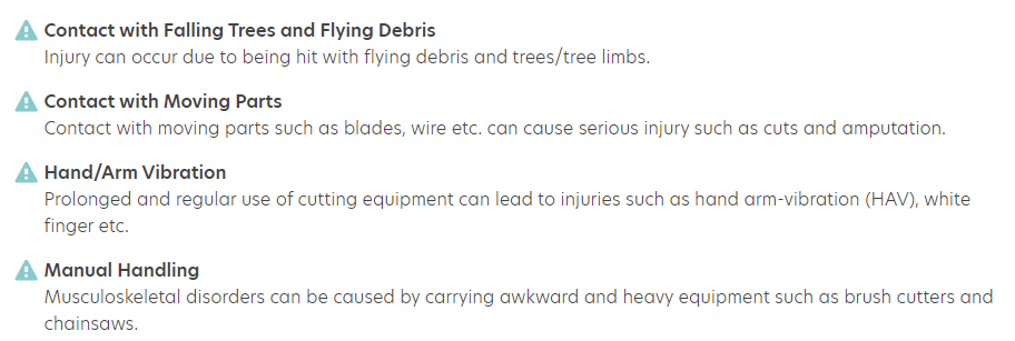 Understanding Risk Ratings